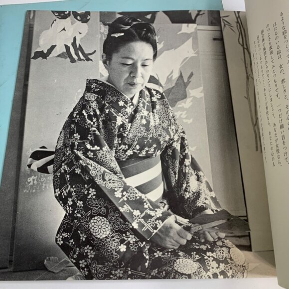 3 Vintage Japanese Art Books Nature & Abstract Designs International Kusae Assn - Picture 8 of 8